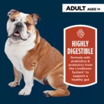 Authority Digestive Support Adult Dog Dry Food - Chicken & Rice - Image 3