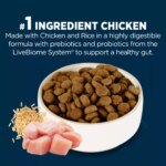 Authority Digestive Support Adult Dog Dry Food - Chicken & Rice - Image 4