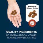 Authority Digestive Support Adult Dog Dry Food - Chicken & Rice - Image 5