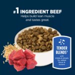 Authority Everyday Health Tender Blends Adult Dry Dog Food - Beef & Rice - Image 4