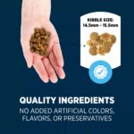 Authority Everyday Health Tender Blends Adult Dry Dog Food - Beef & Rice - Image 5