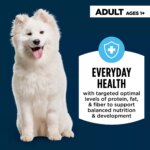 Authority Everyday Health Tender Blends Adult Dry Dog Food - Chicken & Rice - Image 3