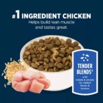 Authority Everyday Health Tender Blends Adult Dry Dog Food - Chicken & Rice - Image 4