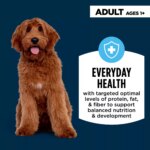 Authority Everyday Health Tender Blends Adult Dry Dog Food - Salmon & Rice - Image 3