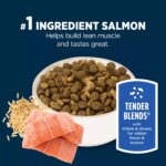 Authority Everyday Health Tender Blends Adult Dry Dog Food - Salmon & Rice - Image 4