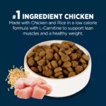 Authority Healthy Weight Adult Dog Dry Food - Chicken & Rice - Image 4