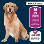 Authority Healthy Weight Large Breed Adult Dog Dry Food - Chicken & Rice, 34 lb - Image 3