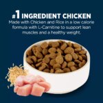 Authority Healthy Weight Large Breed Adult Dog Dry Food - Chicken & Rice, 34 lb - Image 4