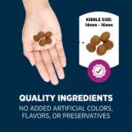 Authority Healthy Weight Large Breed Adult Dog Dry Food - Chicken & Rice, 34 lb - Image 5