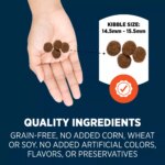 Authority High Performance All Life Stages Dry Dog Food - Turkey, Pea, Salmon, & Duck, 30 lb - Image 5