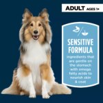 Authority Sensitive Stomach & Skin Adult Dry Dog Food - Chicken & Rice - Image 3