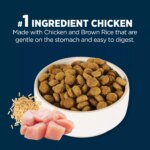 Authority Sensitive Stomach & Skin Adult Dry Dog Food - Chicken & Rice - Image 4