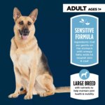 Authority Sensitive Stomach & Skin Large Breed Adult Dog Dry Food - Lamb & Rice, 34 lb - Image 3