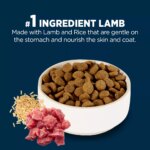 Authority Sensitive Stomach & Skin Large Breed Adult Dog Dry Food - Lamb & Rice, 34 lb - Image 4