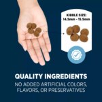 Authority Sensitive Stomach & Skin Large Breed Adult Dog Dry Food - Lamb & Rice, 34 lb - Image 5