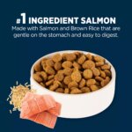 Authority Sensitive Stomach & Skin Large Breed Adult Dog Dry Food - Salmon & Rice - Image 4
