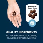 Authority Sensitive Stomach & Skin Large Breed Puppy Dry Dog Food - Salmon & Rice, 34 lb - Image 5