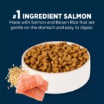 Authority Sensitive Stomach & Skin Puppy Dry Dog Food - Salmon & Rice - Image 4