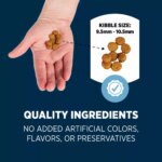 Authority Sensitive Stomach & Skin Puppy Dry Dog Food - Salmon & Rice - Image 5