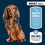 Authority Sensitive Stomach & Skin Small Breed Adult Dog Dry Food Salmon & Rice - 6 LB - Image 3