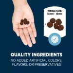 Authority Sensitive Stomach & Skin Small Breed Adult Dog Dry Food Salmon & Rice - 6 LB - Image 5