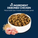 Authority? Everyday Health Adult Dry Dog Food - Chicken & Rice - Image 4