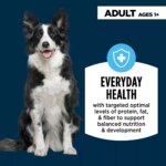 Authority? Everyday Health Adult Dry Dog Food - Lamb & Rice, 34 lb - Image 3