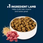 Authority? Everyday Health Adult Dry Dog Food - Lamb & Rice, 34 lb - Image 4