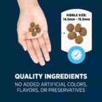 Authority? Everyday Health Adult Dry Dog Food - Lamb & Rice, 34 lb - Image 5