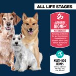 Authority? Everyday Health All Life Stages Dry Dog Food - Chicken & Rice - Image 3