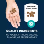 Authority? Everyday Health All Life Stages Dry Dog Food - Chicken & Rice - Image 5