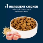 Authority? Everyday Health Large Breed Adult Dry Dog Food - Chicken & Rice - Image 4