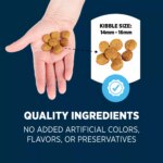 Authority? Everyday Health Large Breed Adult Dry Dog Food - Chicken & Rice - Image 5