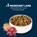 Authority? Everyday Health Large Breed Adult Dry Dog Food - Lamb & Rice, 34 lb - Image 4