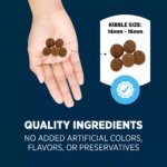 Authority? Everyday Health Large Breed Adult Dry Dog Food - Lamb & Rice, 34 lb - Image 5