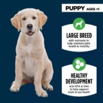 Authority? Everyday Health Large Breed Puppy Dry Dog Food - Chicken & Rice - Image 3