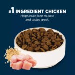 Authority? Everyday Health Large Breed Puppy Dry Dog Food - Chicken & Rice - Image 4