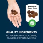 Authority? Everyday Health Large Breed Puppy Dry Dog Food - Chicken & Rice - Image 5