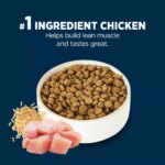 Authority? Everyday Health Large Breed Senior 7+ Dry Dog Food - Chicken & Rice - Image 4