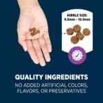 Authority? Everyday Health Large Breed Senior 7+ Dry Dog Food - Chicken & Rice - Image 5