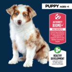 Authority? Everyday Health Puppy Dry Dog Food - Chicken & Rice - Image 3