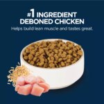 Authority? Everyday Health Puppy Dry Dog Food - Chicken & Rice - Image 4