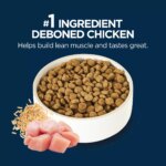 Authority? Everyday Health Senior 7+ Dry Dog Food - Chicken & Rice - Image 4