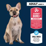 Authority? Everyday Health Small Breed Adult Dry Dog Food - Chicken & Rice - Image 3