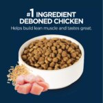 Authority? Everyday Health Small Breed Adult Dry Dog Food - Chicken & Rice - Image 4