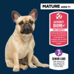 Authority? Everyday Health Small Breed Senior 7+ Dry Dog Food - Chicken & Rice - Image 3
