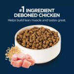 Authority? Everyday Health Small Breed Senior 7+ Dry Dog Food - Chicken & Rice - Image 4