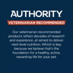 Authority? Everyday Health Small Breed Senior 7+ Dry Dog Food - Chicken & Rice - Image 6