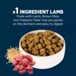 Authority? Sensitive Stomach & Skin Adult Dog Dry Food - Lamb & Rice - Image 4