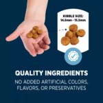 Authority? Sensitive Stomach & Skin Adult Dog Dry Food - Lamb & Rice - Image 5